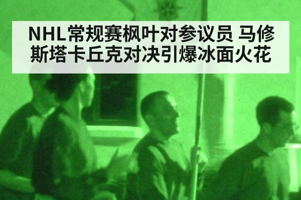 NHL常规赛枫叶对参议员 马修斯塔卡丘克对决引爆冰面火花